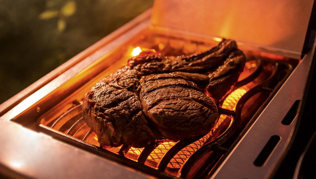 GRILLAR OCH TILLBEHÖR