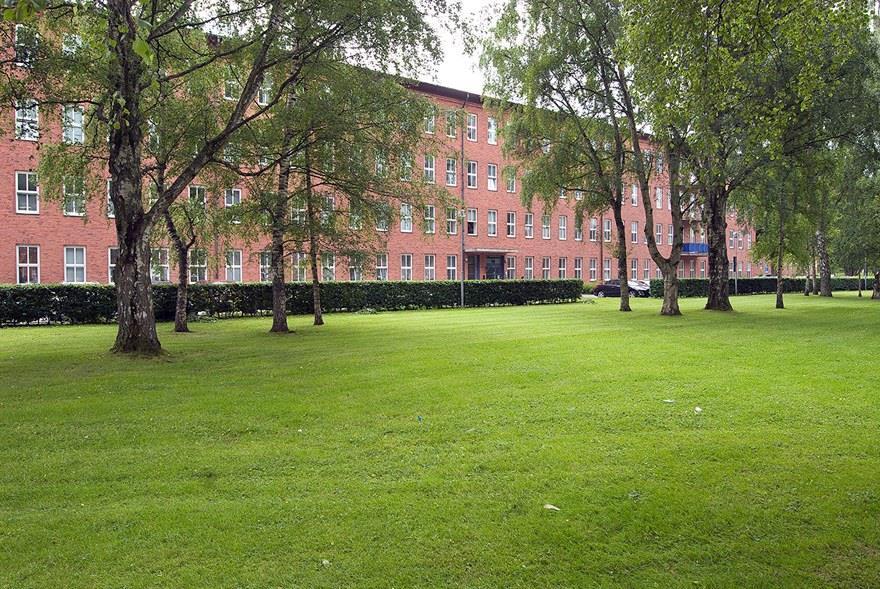 kortare utflykt