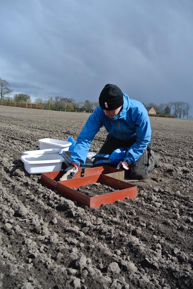 Fakulteten för landskapsarkitektur, trädgårdsoch växtproduktionsvetenskap Strukturkalkens inverkan på såbäddens aggregategenskaper en studie inriktad på strukturkalkning av lättleror The impact of