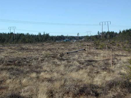 Torv Torv: organiska rester av vegetation som växt på markytan under olika tider efter senaste istiden Torv klassificeras: 10-gradig skala, Von Post (1926), beroende på förmultningsgrad (www.roadex.