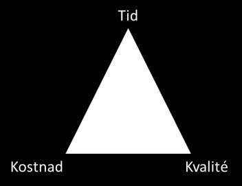 PA1 Officiell (ej godkänd) 4 (18) 1. Projektmål och strategier 1.1. Projektmål Projektet skall säkerställa att en ändamålsenlig organisation för förvaltning av e-arkivet finns på plats.
