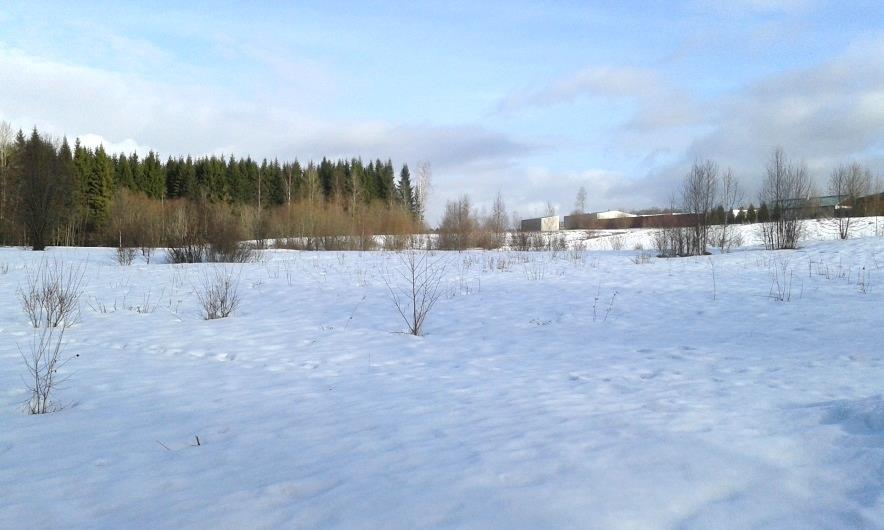 Bild från södra planområdet mot nordöst. Natur Marken utgörs idag av större delar igenväxt betesmark. Norr om planområdet utgörs av grandominerad blandskog.