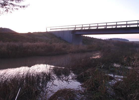 577. Lannaån, Rycka Datum: 29-11-3 Kommun: Lidköping Koordinat: 647845/1342 Ca 15-25 m uppströms den "nya" bron.