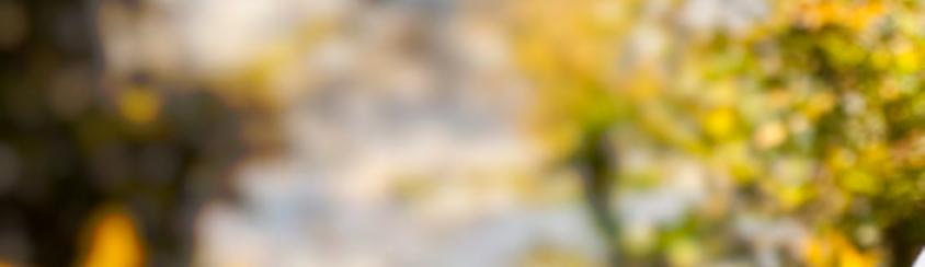 Handläggare Behöver du komma i kontakt med oss gällande beviljad hemtjänst, dagverksamhet, korttidsboende eller vård- och omsorgsboende når du handläggare enligt följande: Brandbergen, Vendelsö,