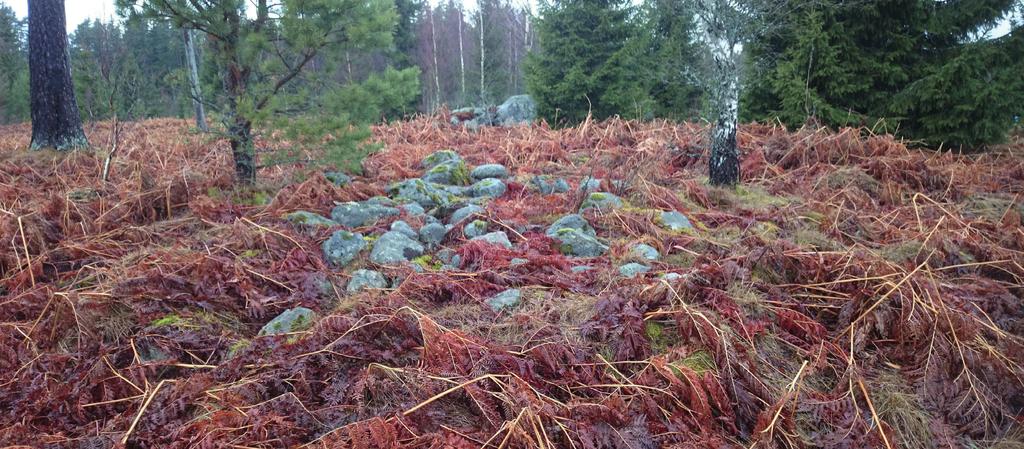 Inför bergtäkt i Apelskift Arkeologisk utredning etapp 1, inför planerad bergtäkt inom del av Apelskift