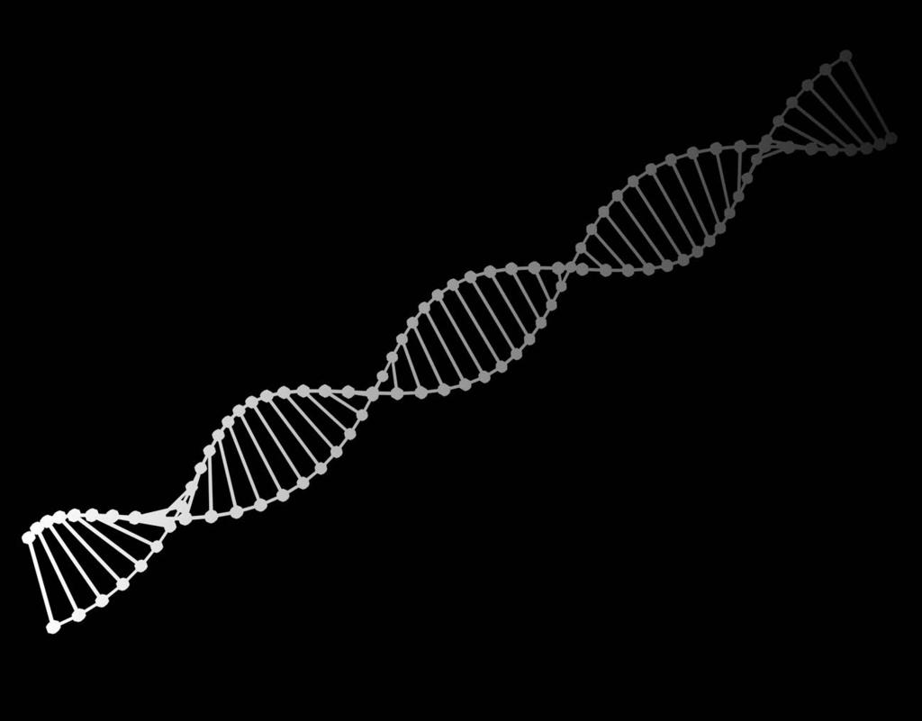 VÅRT DNA AddLifes eget DNA Förenklat kan man beskriva AddLifes viktigaste ledstjärnor enligt bilden nedan. Utifrån dessa kan vi navigera oss rätt i den dagliga verksamheten.