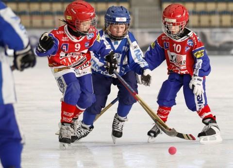 Metod 13 enskilda intervjuer 6 tränarbarn (3 flickor