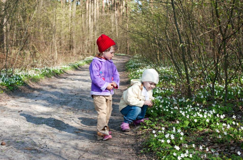 Barnhälsovård idag; det nationella barnhälsovårdsprogrammet Åsa Lefèvre, Dr Med Vet, leg sjuksköterska,