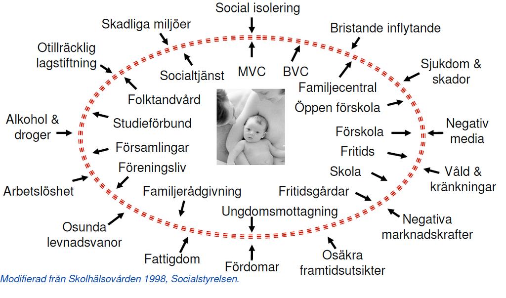 Skyddsnätet BHV Margareta Berglund, Distriktssköterska, MPH