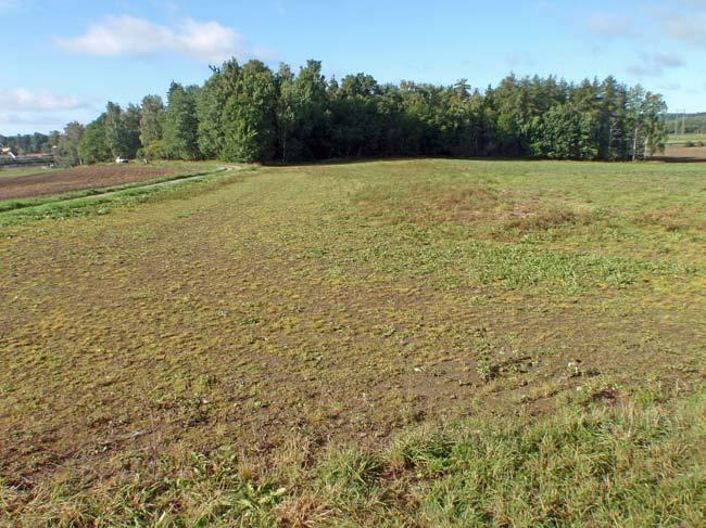 Gravfält i antuna Ed 119, Antuna 2:2, Eds socken, Upplands Väsby kommun, Uppland