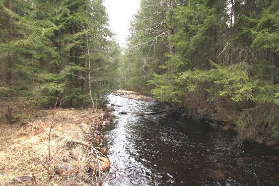 3.2 Sandån VS424 Beskrivning av lokalen och provtagningstillfället Vattensystem: Arbogaån Vattendrag: Sandån Provdatum: 2015-04-25 Metod: M42 med oberoende urval Provtagare: Miguel Jaramillo