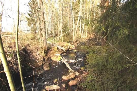 0,4 meter Vattentemperatur: 7ºC Bottensubstrat: Detritus, sten och block dominerade Kalkning: Pågående kalkning i uppströms liggande sjöar. Påverkan: Normalt skogsbruk.