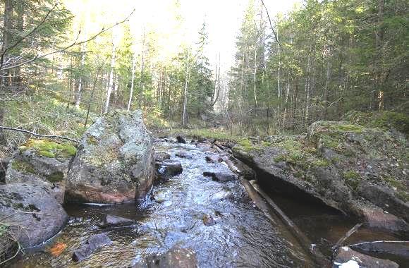 Vattendjup: ca 0,4 meter Vattentemperatur: 7ºC Bottensubstrat: Sten och block dominerade Kalkning: Pågående kalkning i uppströms liggande sjöar. Påverkan: Normalt skogsbruk. Övrigt: Värdefullt vatten.