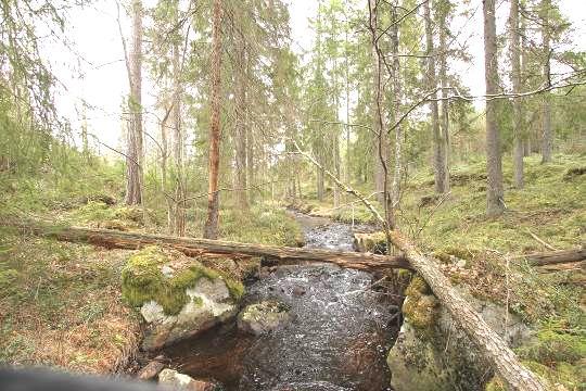 (uppskattad): 3 meter Vattendjup: ca 0,5 meter Vattentemperatur: 8ºC Bottensubstrat: Grovgrus, sten och block dominerade. Kalkning: Pågående kalkning i uppströms liggande sjöar.