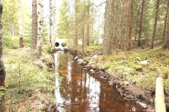 3.7 Jerån VS361 Beskrivning av lokalen och provtagningstillfället Vattensystem: Hedströmmen Vattendrag: Jerån Provdatum: 2015-04-25 Metod: M42 med oberoende urval Provtagare: Miguel Jaramillo