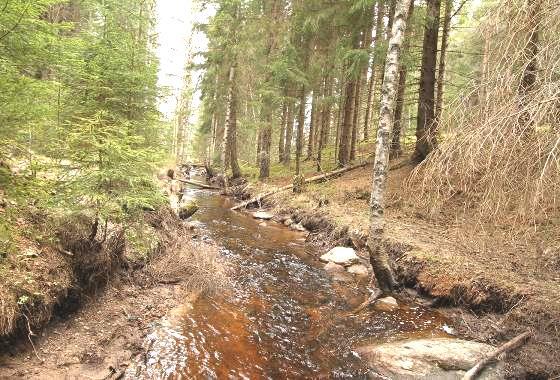 0,5 meter Vattentemperatur: 10ºC Bottensubstrat: Detritus, sand, grus, sten och block dominerade Kalkning: Pågående kalkning i uppströms liggande sjöar. Påverkan: Normalt skogsbruk.