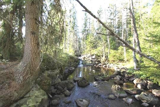 (Ecolimne) Lokalnamn/ID: VS367 Lokalkoordinater: 6644940-1524160 (startpunkt) Lokallängd: 50 meter Vattennivå: Låg Vattenhastighet: Strömmande Vattendragsbredd (uppskattad): 1,5 meter Vattendjup: ca