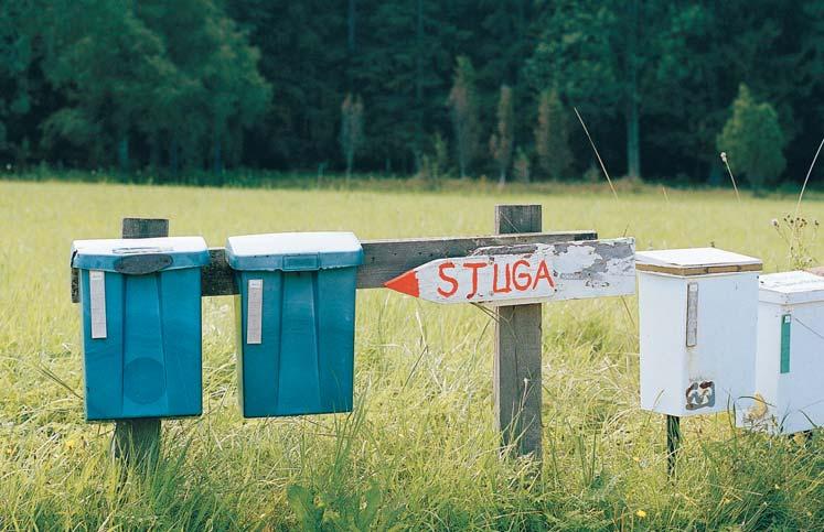 är läkemedel som fungerar på ungefär samma sätt som ACEhämmare. Tål man inte ACE-hämmare och får biverkningar, exempelvis rethosta, sätts ARB in i stället.