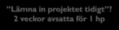 Språk- och strukturgranskning 54 D (TDDD78): 1 hp för språk- och strukturgranskning (U har detta i en annan kurs) Ger 26 timmar extra Skriva mer (projektplan) Gå genom eget språk och