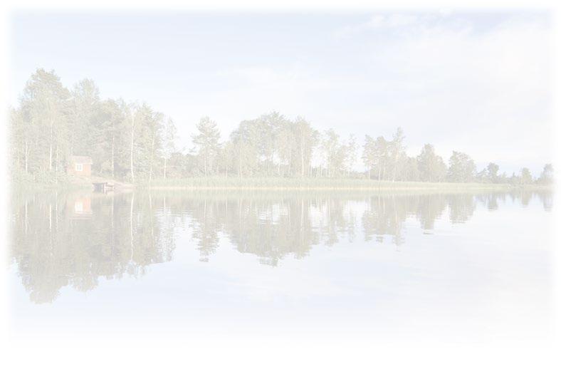 Sluten tank för krävande förhållanden För fastigheter på strandtomt och grundvattenområden kan separata avlopp krävas, dvs. att WC-vatten leds till en sluten tank och gråvatten till markreningsverk.