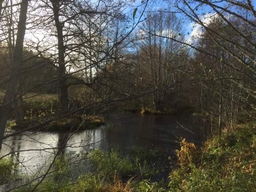 Motivering naturvärdesklass Ån är livsmiljö för många ryggradslösa djur och det är troligt att biotopen är livsmiljö för rödlistade fladdermöss.