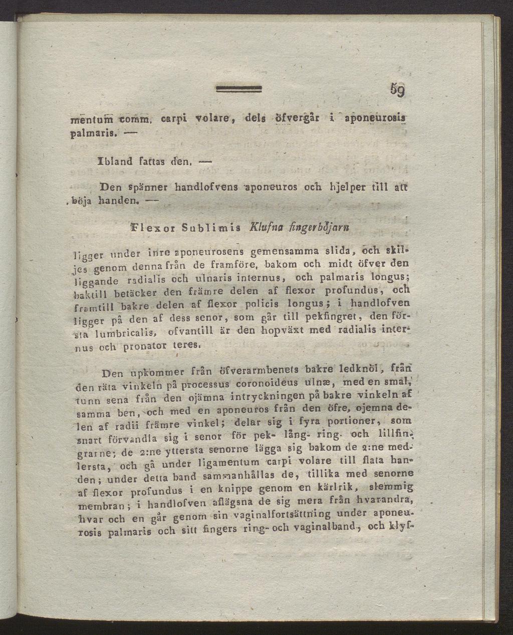 mentum uoram. carpi volare, dels Öfvergår i aponeiirosls palmaris. S9 Ibland fattas den. Ben spänner handlofvens aponeuros och, böja handen.