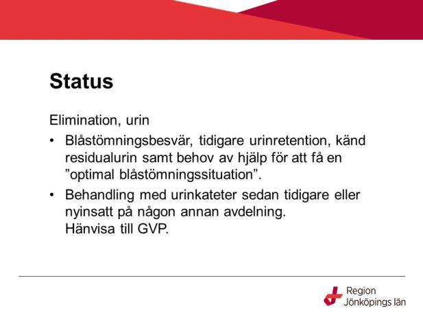 I status dokumenterar man det som är aktuellt för patienten och tidigare besvär.