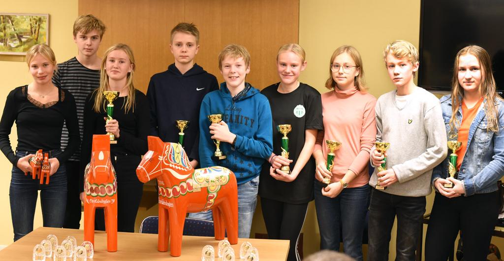 Årets tävling gick 4:e november, den går alltid på dubbelhelgens söndag, i Flemmingsberg med start från Södertörns friskola.