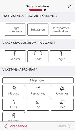 Skicka förfrågan När du är klar trycker du på Skicka förfrågan.