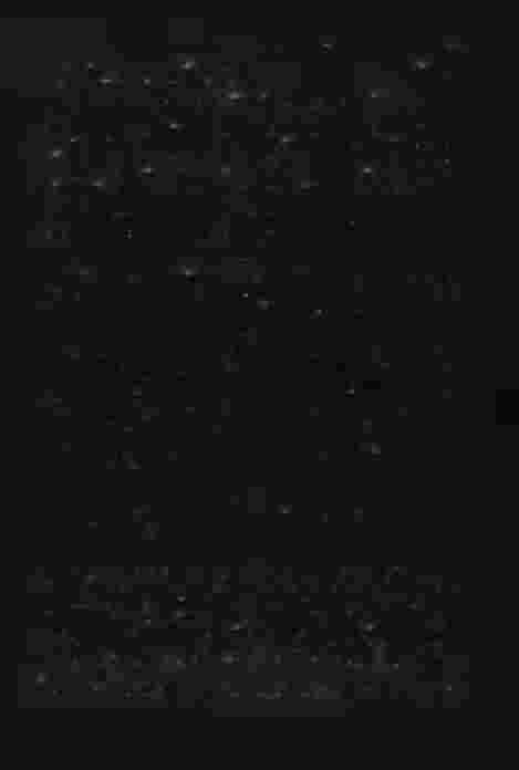 Kungl. Maj.ts proposition nr 100 år 1959 15 ningen. Ålderspension utgår dock ej för längre tid tillbaka än tre månader före den månad, då ansökningen gjordes.