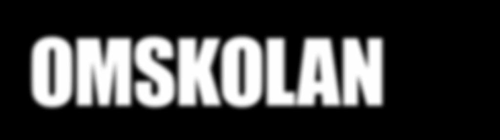 VISIR-medlemmar bemannade utställningen varje dag mellan klockan 13 och 16. På bilden ser vi Folke Frendin och Ingegerd Alstermark.