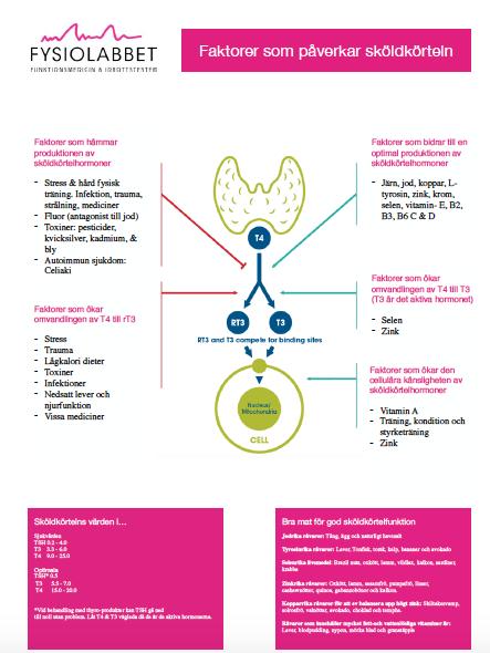 Några olika biomarkörer och hur du själv kan påverka din hälsa med att känna till dem Låggradig inflammation / hs CRP Långtidssocker / HbA1C Hemoglobin / Hb-värde Syremättnad / Skall ligga på 97-99%