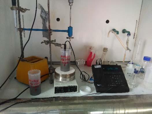 and at the 9 th week, the accumulated amount of slurry was transferred to larger containers to avoid overfill (Figure 5c).