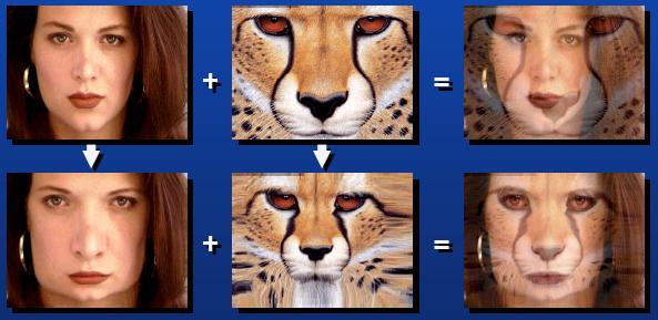 Småuppgift 10 a. Beskriv hur animering kan användas för att visualisera en 3Ddatavolym (t.ex.