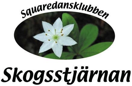 tare tidsperiod, för att sedan slussas in i den vanliga verksamheten, eller genom att gå igenom hela under en längre men intensiv period. Vi måste även locka nya dansare på nya sätt.
