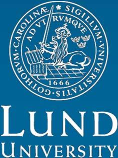 Morfologisk och funktionell hjärnavbildning med