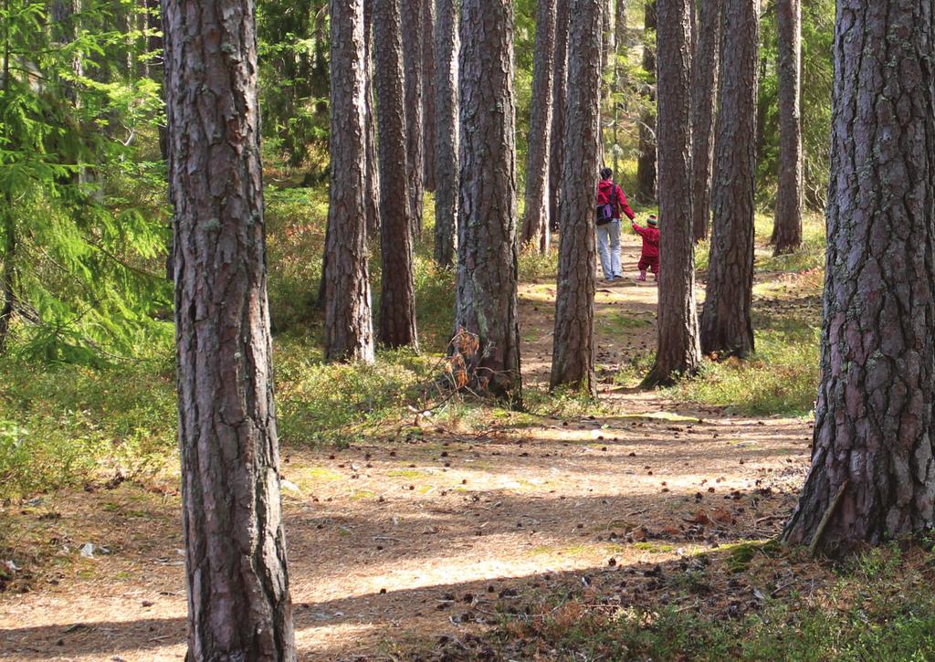 Innehåll Kommunens skogspolicy... 3 Inledning varför en skogspolicy?... 4 Vem ansvarar för kommunens skogar?... 5 Skogen är viktig för oss... 5 Vi ska förvalta skogen på ett ansvarsfullt sätt.