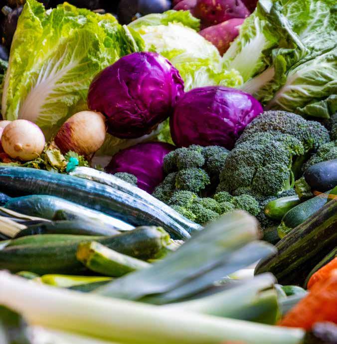 5 Mat är inte bara en smaksak Generella näringsrekommendationer Mångsidig och hälsosam kost hjälper dig att orka, upprätthålla ditt immunförsvar och bidrar till att du lättare kan hålla din vikt