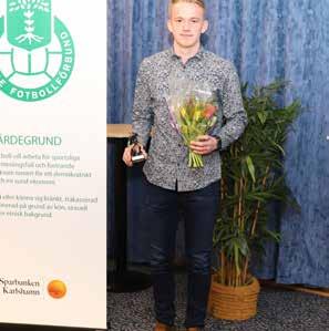 Till årets förening 2017, Valdo Carlström minne, utsågs Hörvikens IF. Motiveringen löd: Säsongen 2017 har rullat Hörvikens IFs väg.