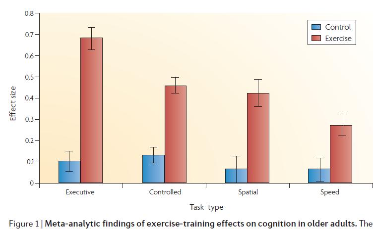 Colcombe & Kramer et al 2003