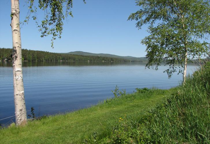 En familjedag i kärlekens tecken. Kyrkparken. Söndag 5 maj kl. 11.00 Helena Facchini. Nattvard. Flöjt Thomas Fogelberg. Torsdag 23 maj kl. 18.30 FÖRSAMLINGSMÖTE Söndag 26 maj kl. 11.00 I KORSKYRKAN KRISTENDOMSSKOLANS AVSLUTNING Helena Facchini/Ruben Johansson Måndag 27 maj kl.