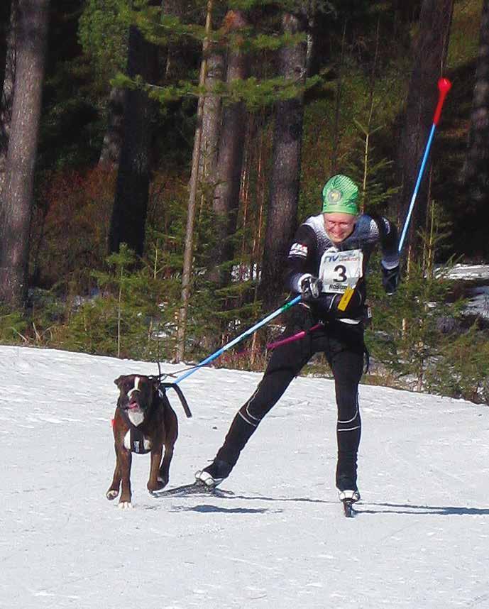 och solvärme och bli bjuden på korv och skön en träbänk - vad gör det då att ingen bil finns för att hämta upp?