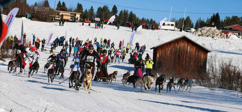 På kvällen när Ingela delar ut den sista dagens schema finns ett frågetecken. Dag tre innehåller en 17km-sträcka.