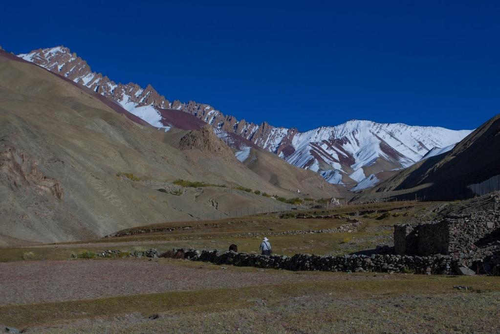 SWED-ASIA TRAVELS SNÖLEOPARDENS LAND INDISKA LADAKH En resa till Ladakh där vi inriktar oss på att fotografera snöleopard, ibex, blåfår, fågel, och andra djur i den alpina zonens naturliga miljö.