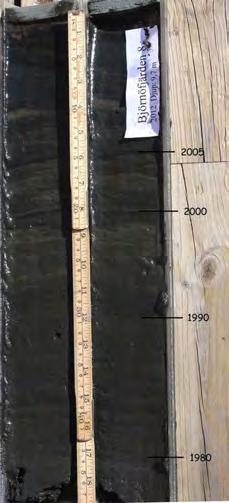 16 Figur 17 Daterade sedimentkärnor från grunda (9-11 m) stationer i södra Björnöfjärden.