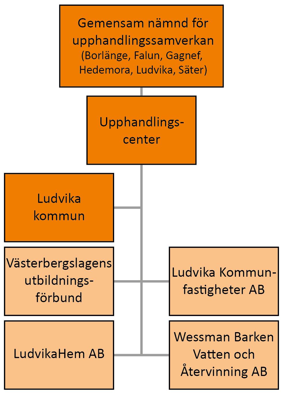 Ludvika kommun Organisation Ludvika kommun ingår i en upphandlingssamverkan tillsammans med Borlänge, Falu, Gagnefs, Hedemora och Säters kommuner.