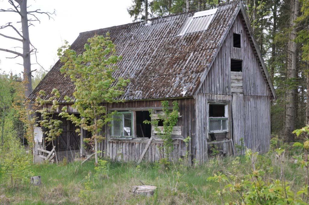 Hässleholm Ynglingarum 4:2 Skog Fastigheten består av ca 41 ha produktiv skogsmark enligt bilagd skogsbruksplan från mars 2019 (Mats Rufelt, Bokskog AB). Virkesförråd ca 4 900 m³sk bestående av bl.