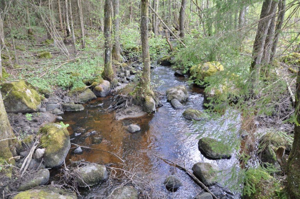 Hässleholm Ynglingarum 4:2 Natur/kultur Det finns inga registrerade fornminnen på fastigheten. Se även Riksantikvarieämbetets hemsida, www.fmis.raa.se.