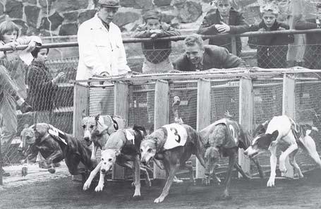 Defilering på Johanneshov (nuvarande Söderstadion) 1959. B Hammarkvist, Sten E Åman och Per Englutsen, Halden, Norge.