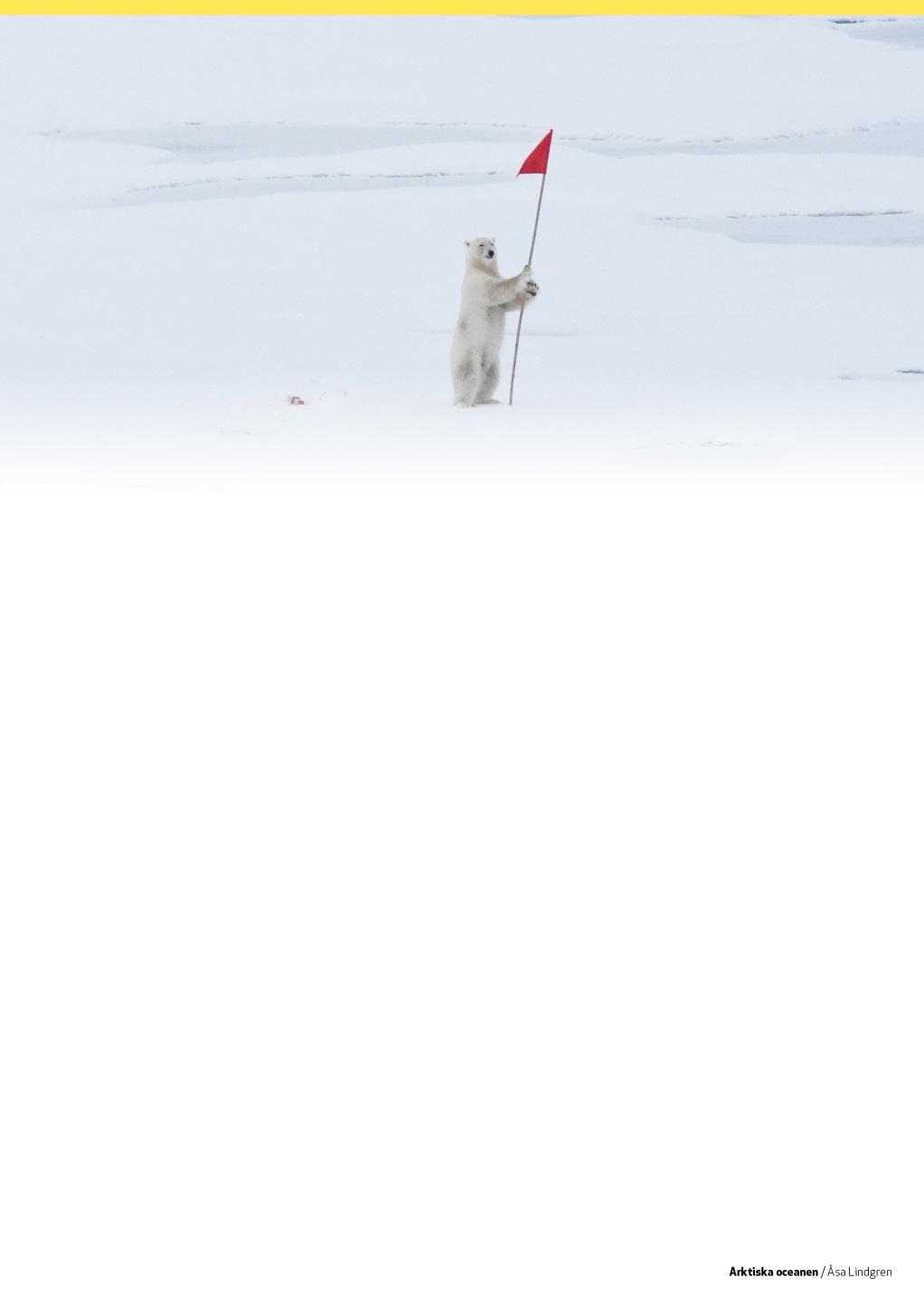 Årsredovisning 2018 Polarforskningssekretariatets